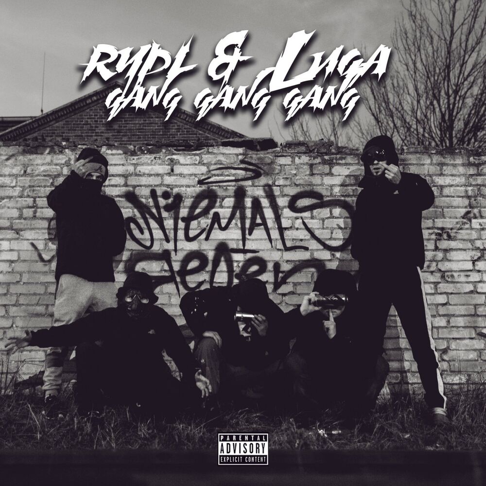 Picture of Gang Gang Gang