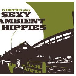 17 Hippies Play Sexy Ambient Hippies