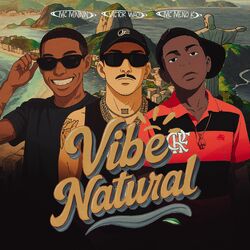 Cover of Vibe Natural