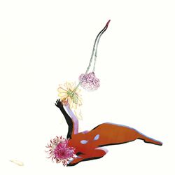 Cover of The Far Field