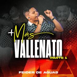 Cover of Más Vallenato, Pt. 1 (En Vivo)