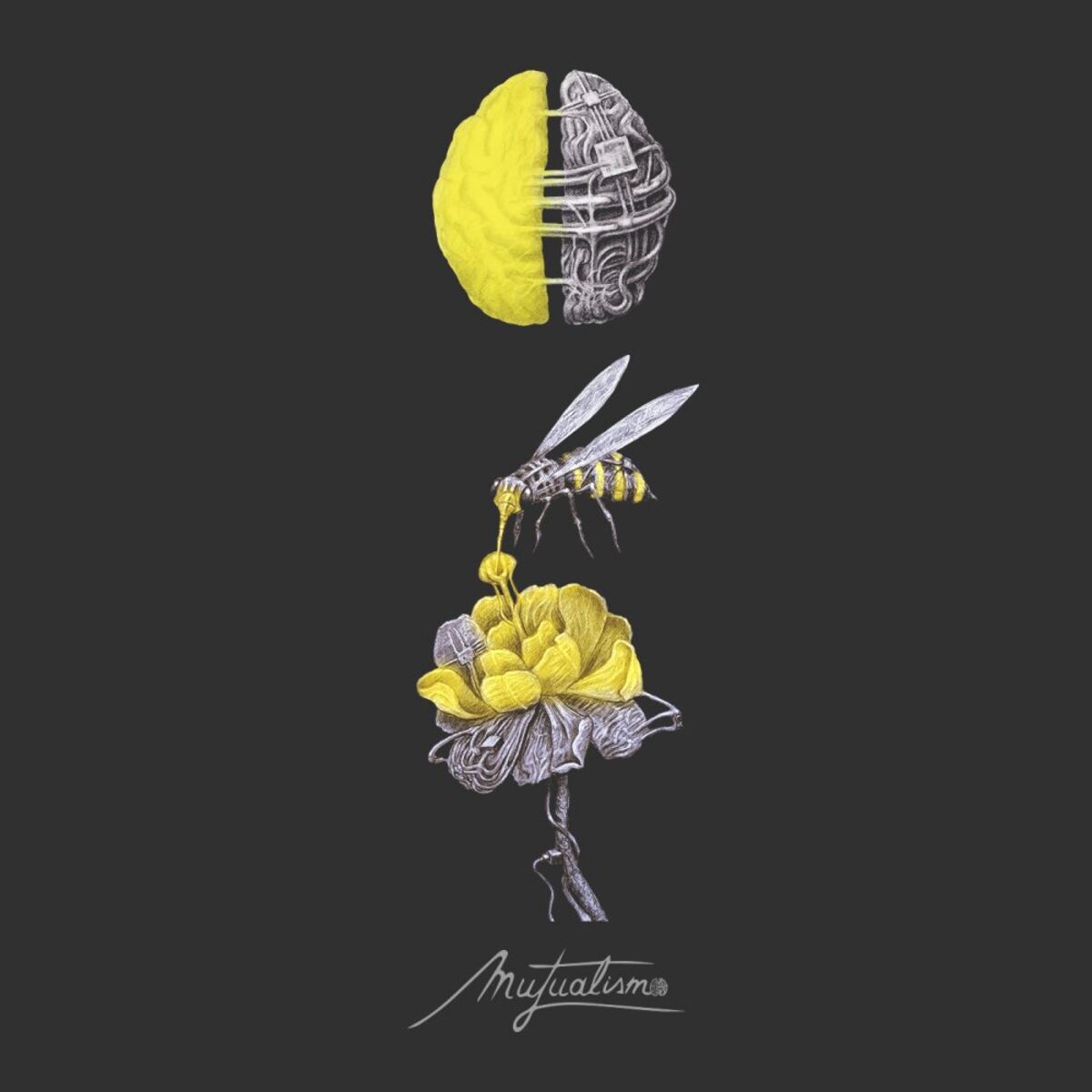 Album cover of Mutualism 01