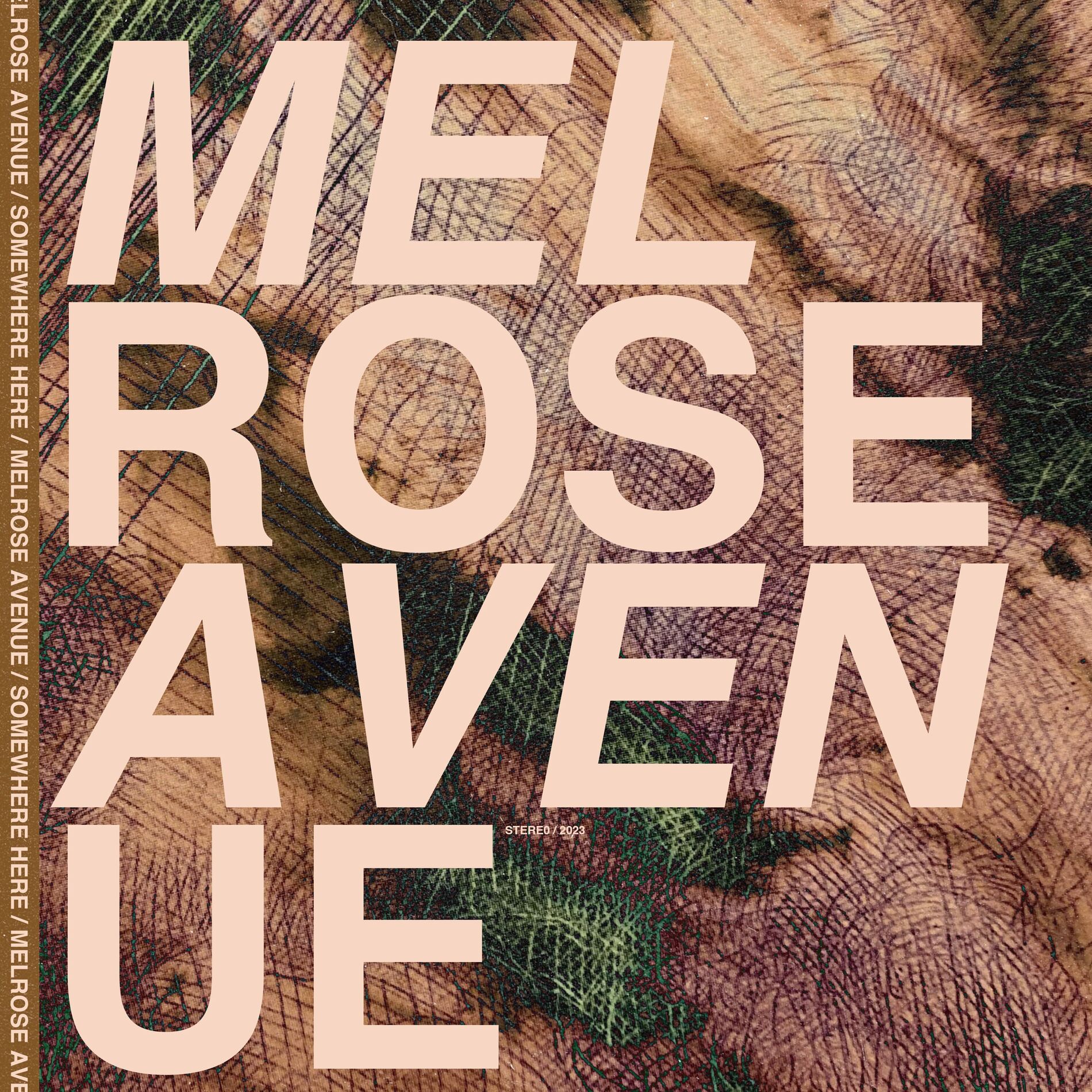 Album cover of Somewhere Here