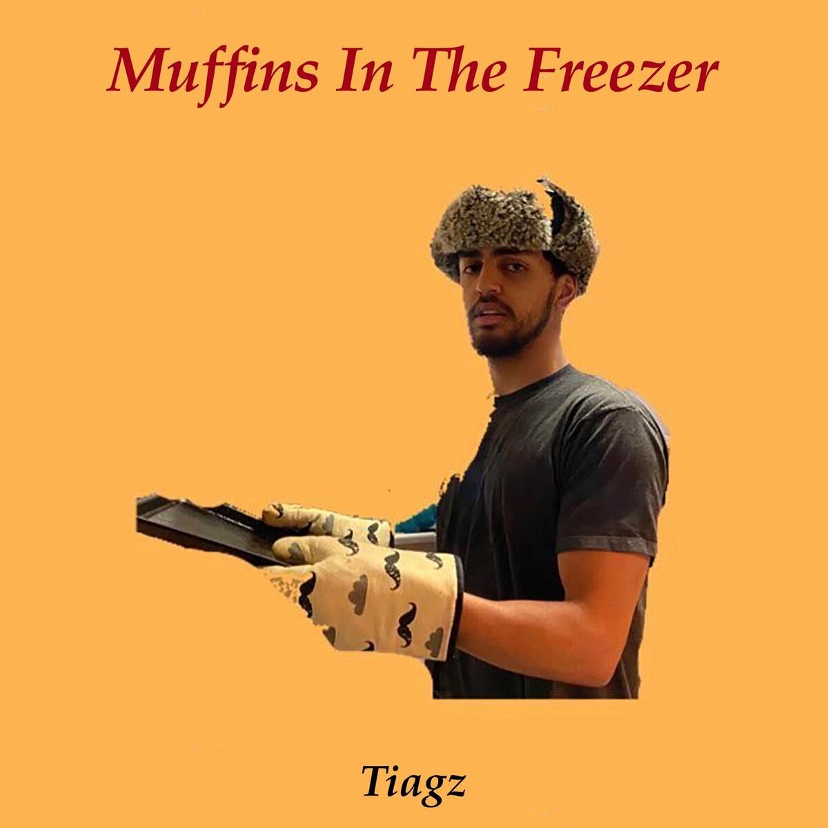Album cover of Muffins In The Freezer