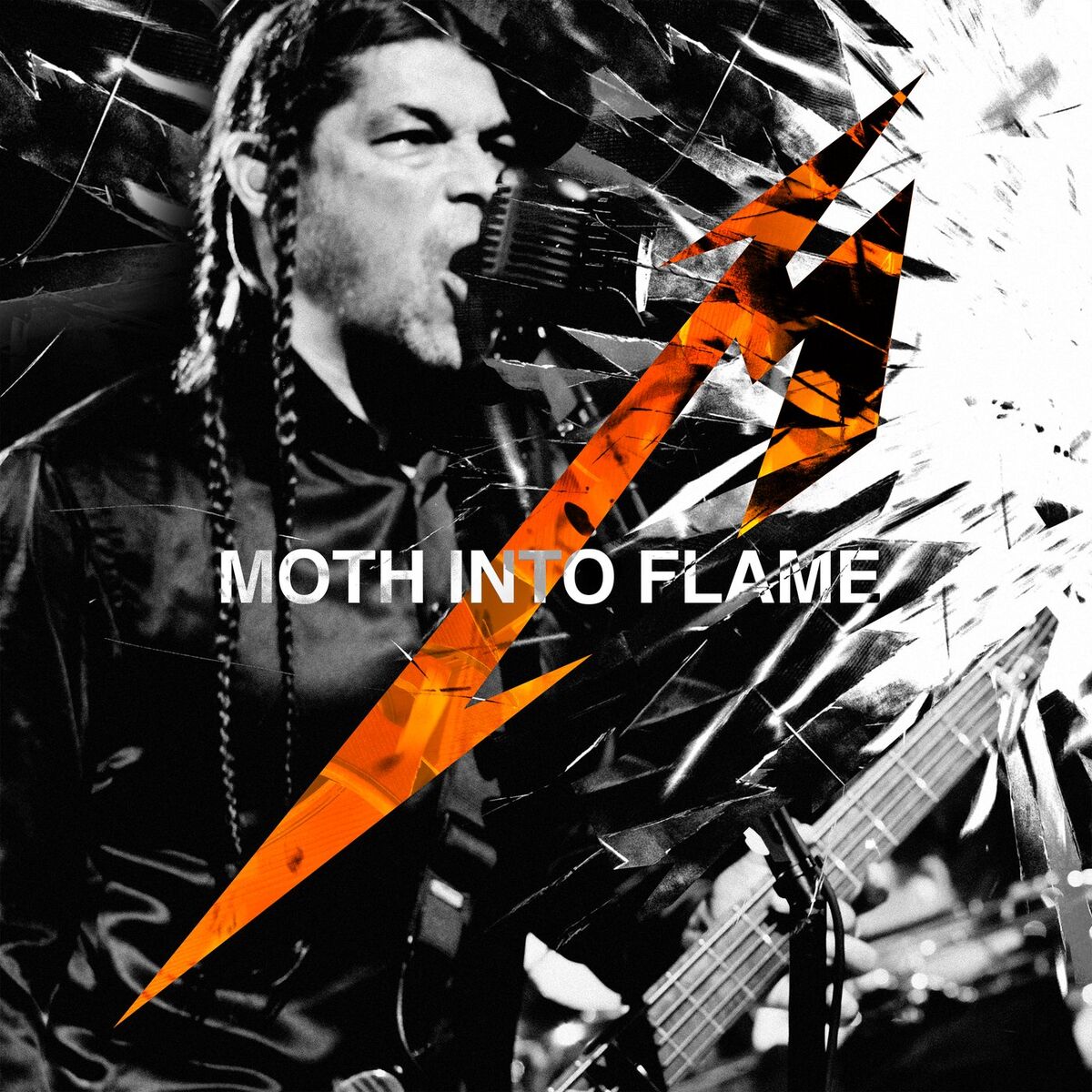 Album cover of Moth Into Flame