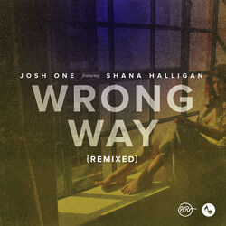 Cover of Wrong Way Remixed