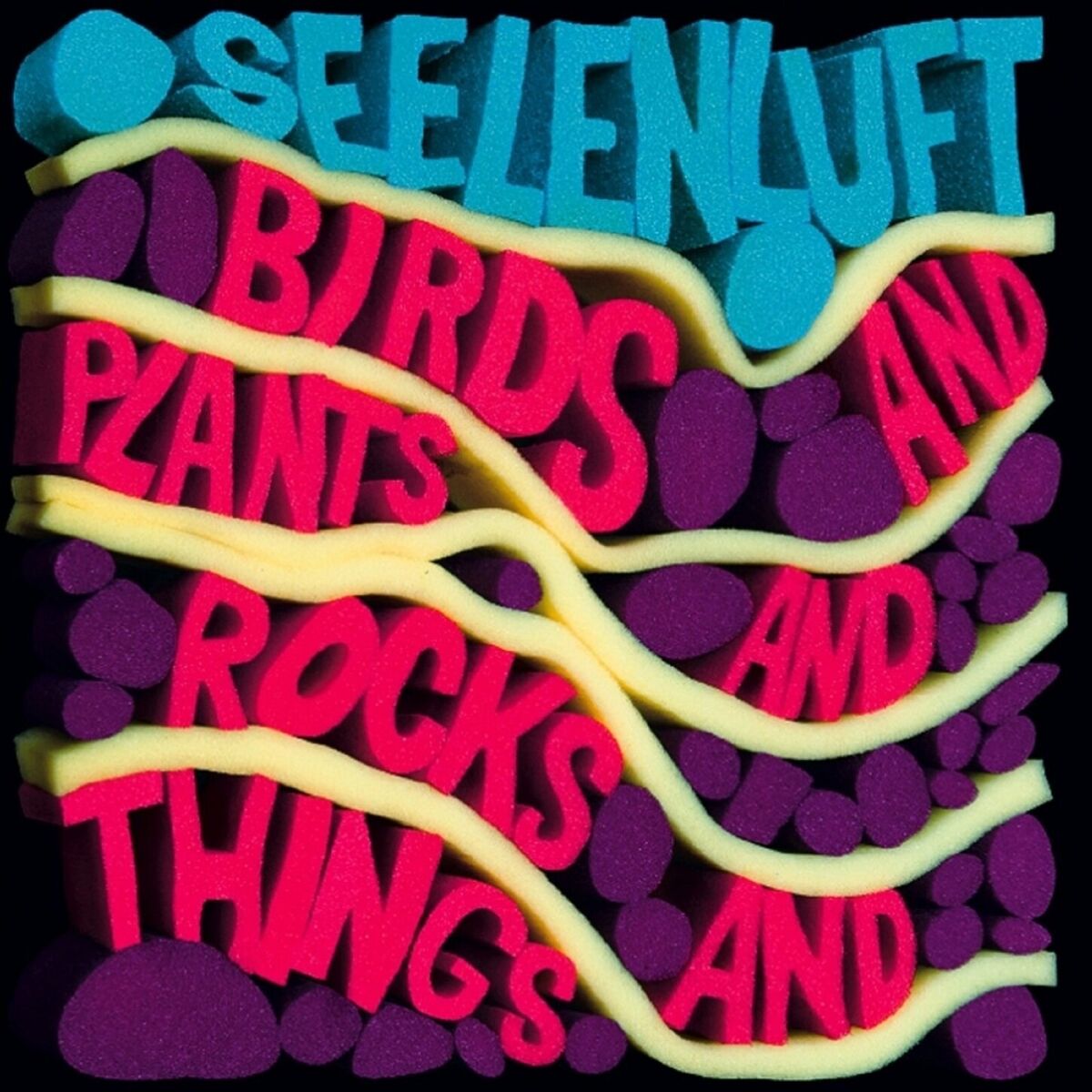 Album cover of Birds and Plants and Rocks and Things
