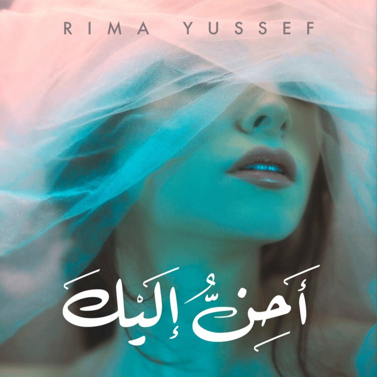 Album cover of Ahenu Ilayka