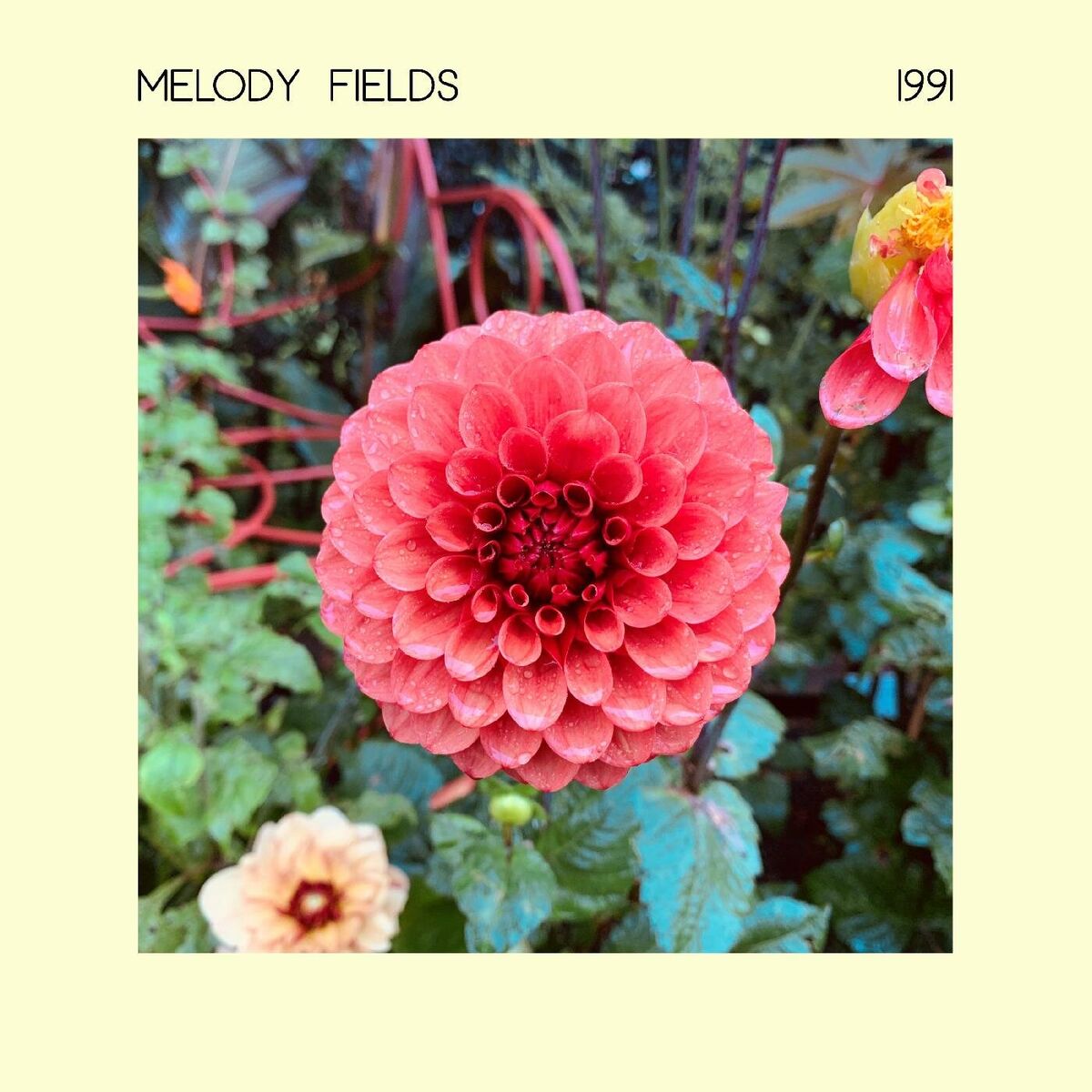 Album cover of 1991