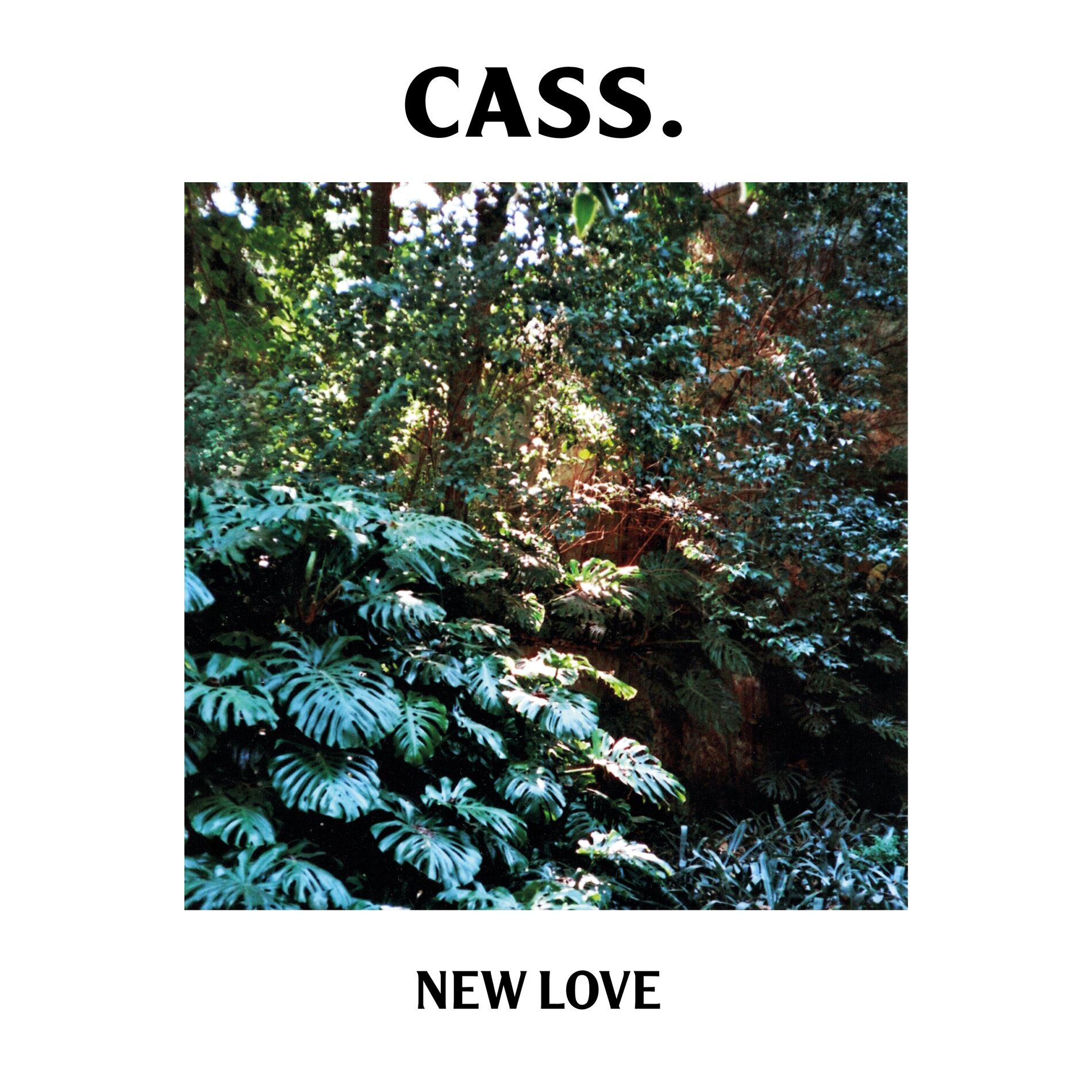 Album cover of New Love