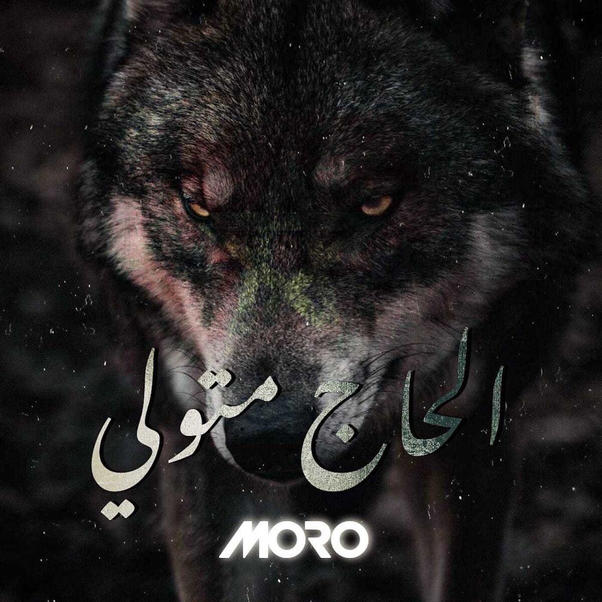 Album cover of الحاج متولي
