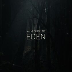 music cover