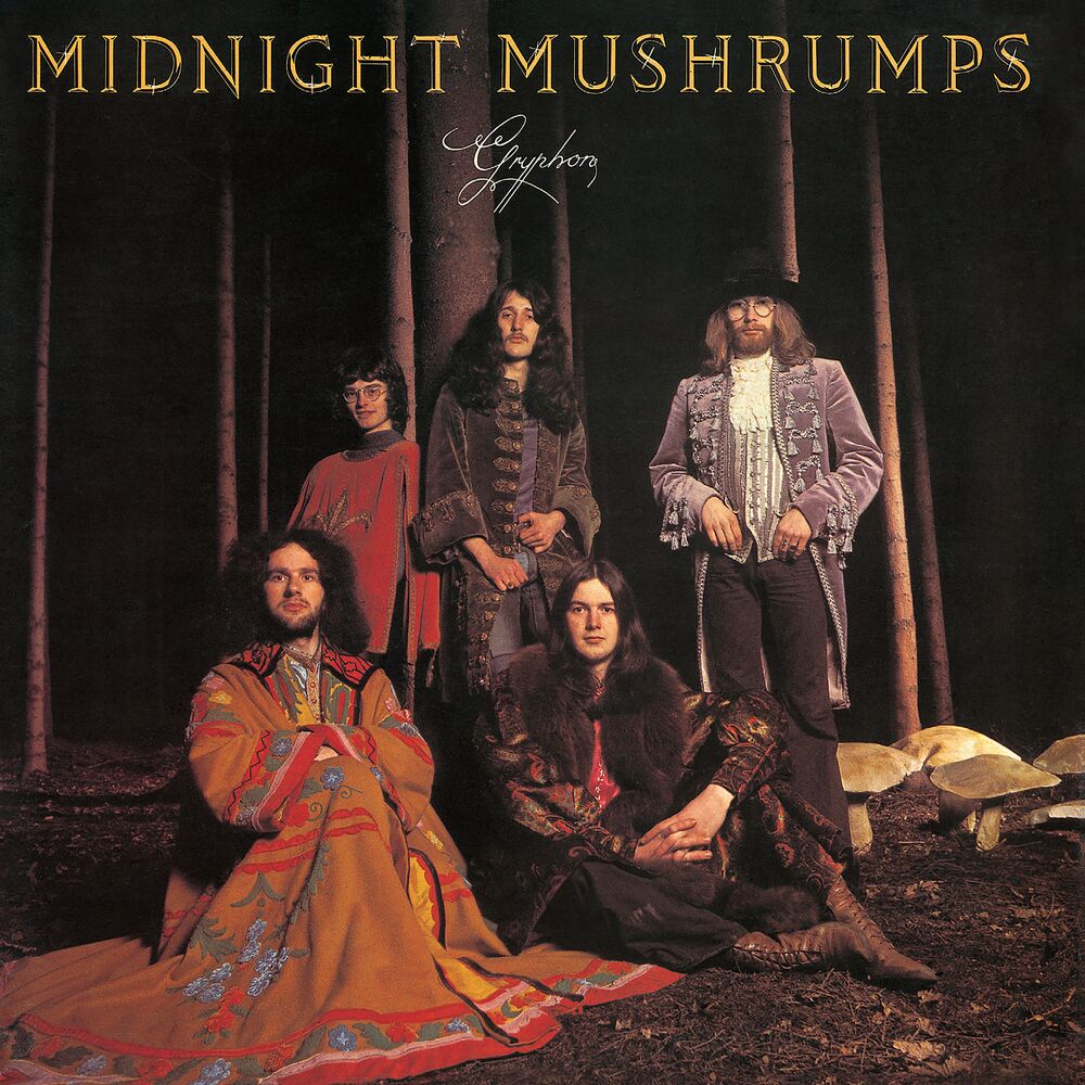 Picture of Midnight Mushrumps