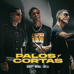 Cover of Palos y Cortas