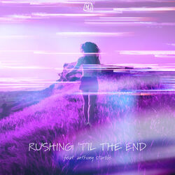 Cover of Rushing 'til the End