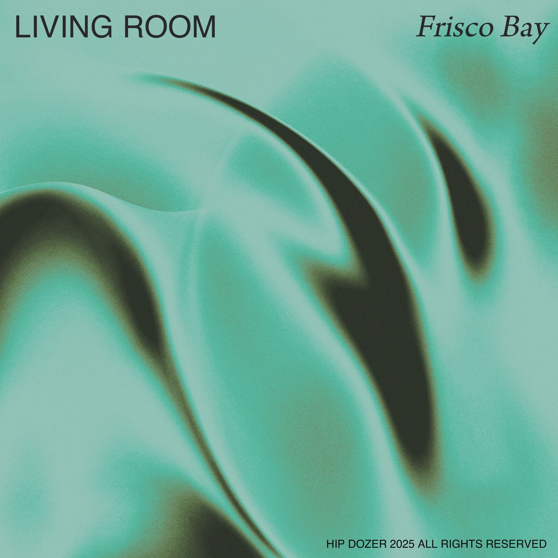 Album cover of Frisco Bay