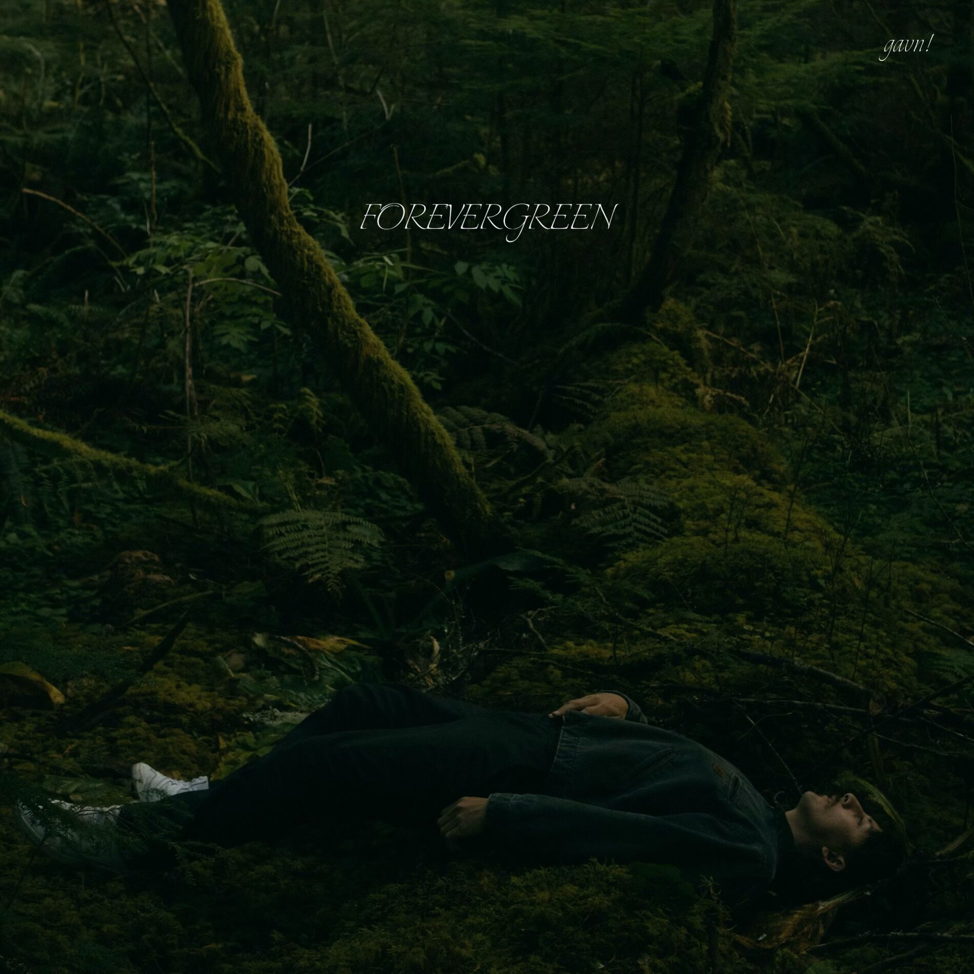 Album cover of FOREVERGREEN