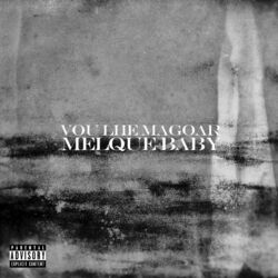 Cover of Vou Lhe Maguar