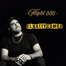Cover of Flight 956