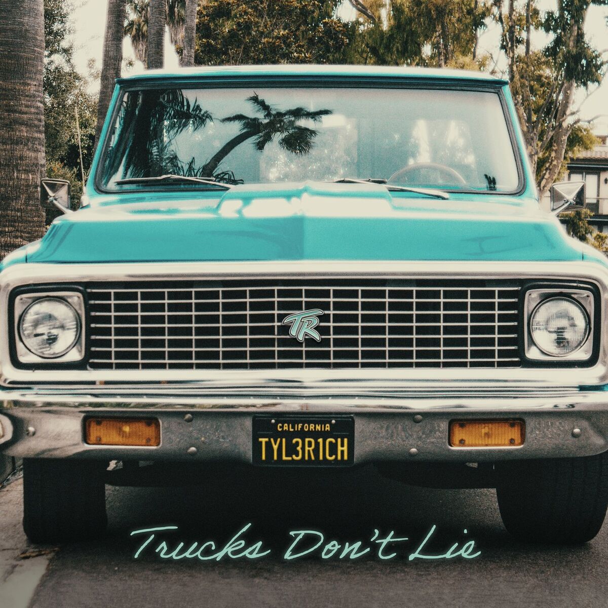 Album cover of Trucks Don't Lie