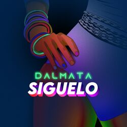 Cover of Siguelo