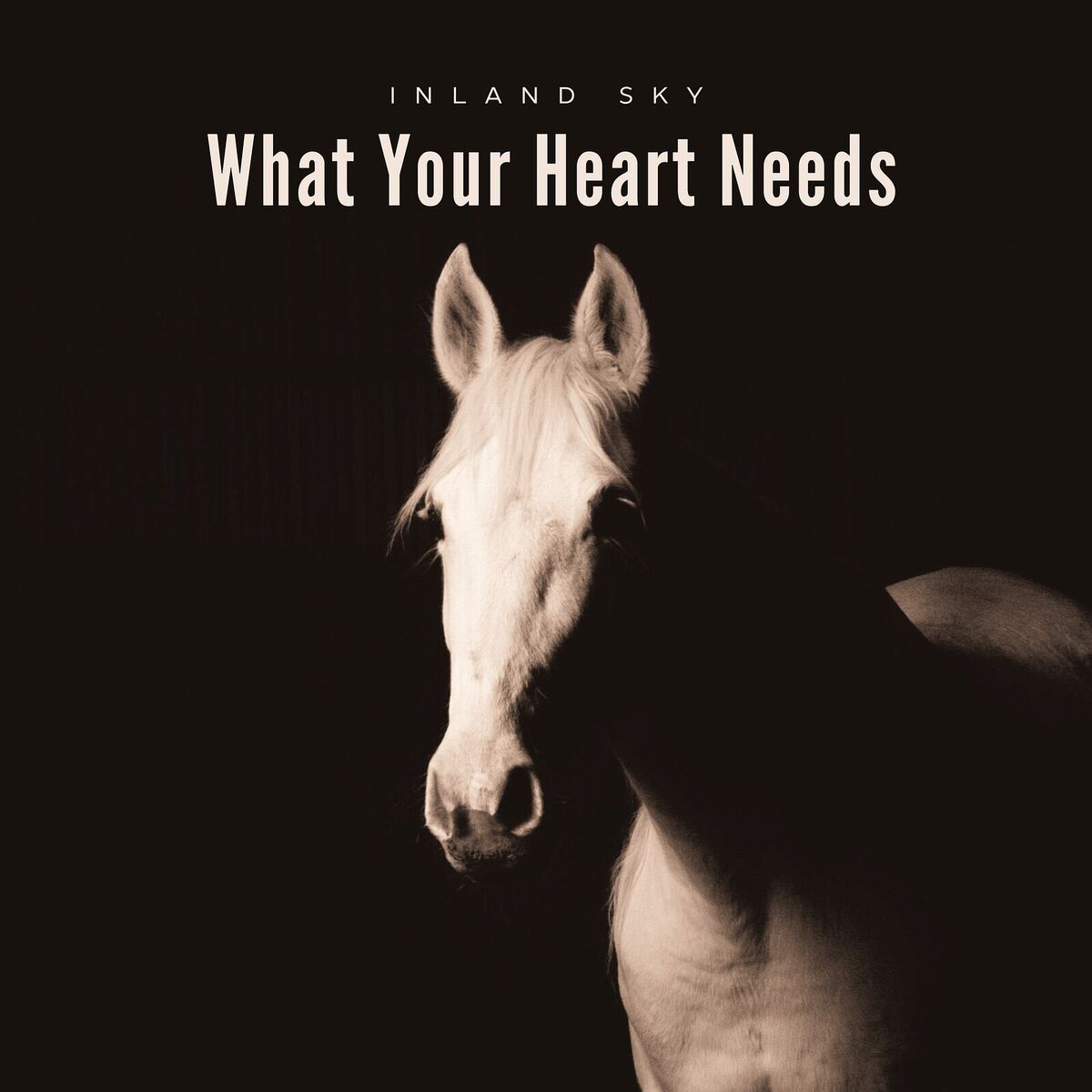 Album cover of What Your Heart Needs