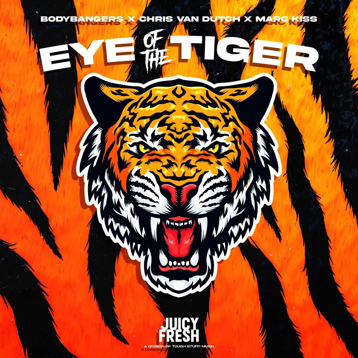 Album cover of Eye of the Tiger