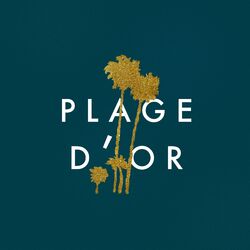 Cover of Plage d'or