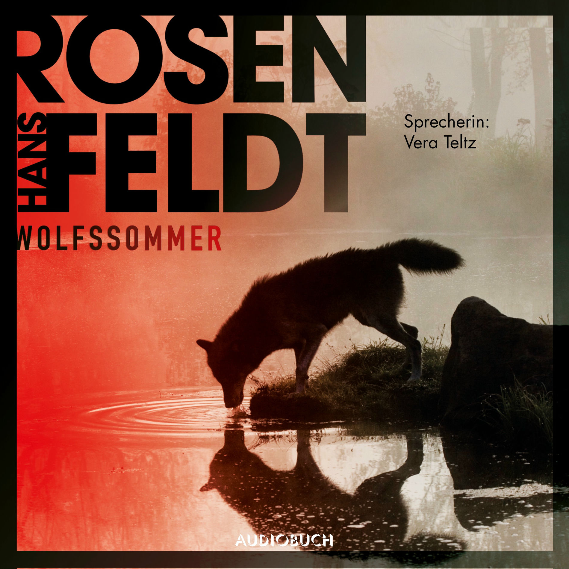 Album cover of Wolfssommer (ungekürzt)