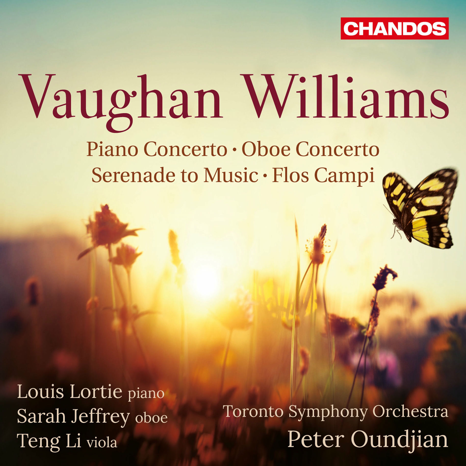 Album cover of Vaughan Williams: 
