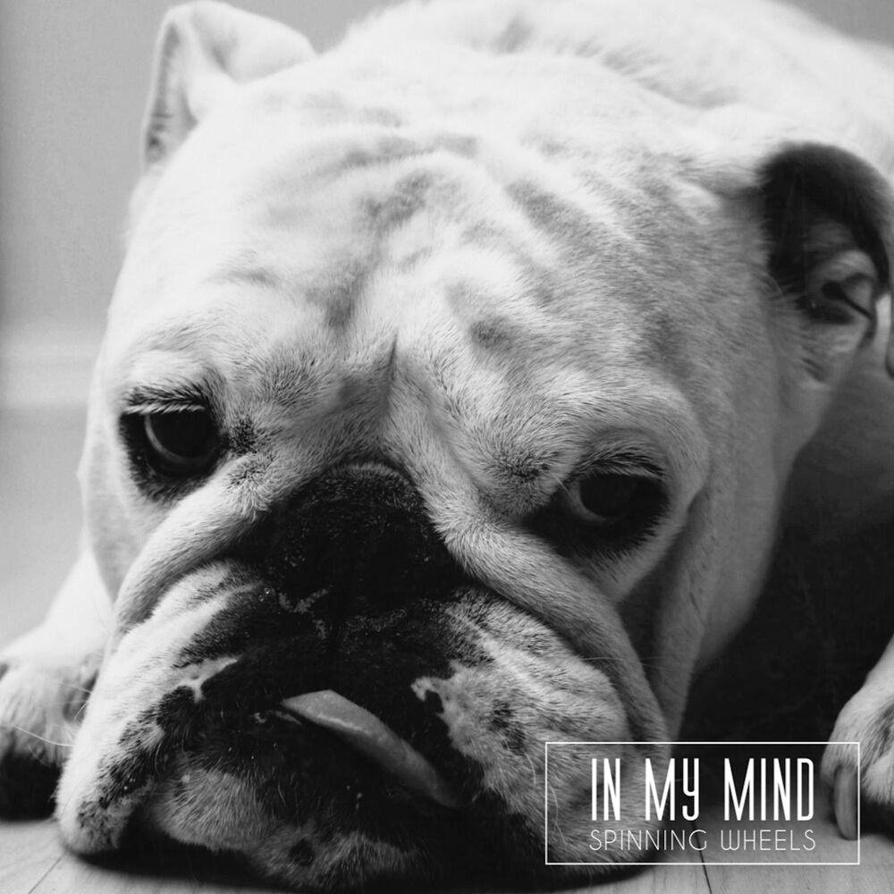 Picture of In My Mind (Radio Edit)