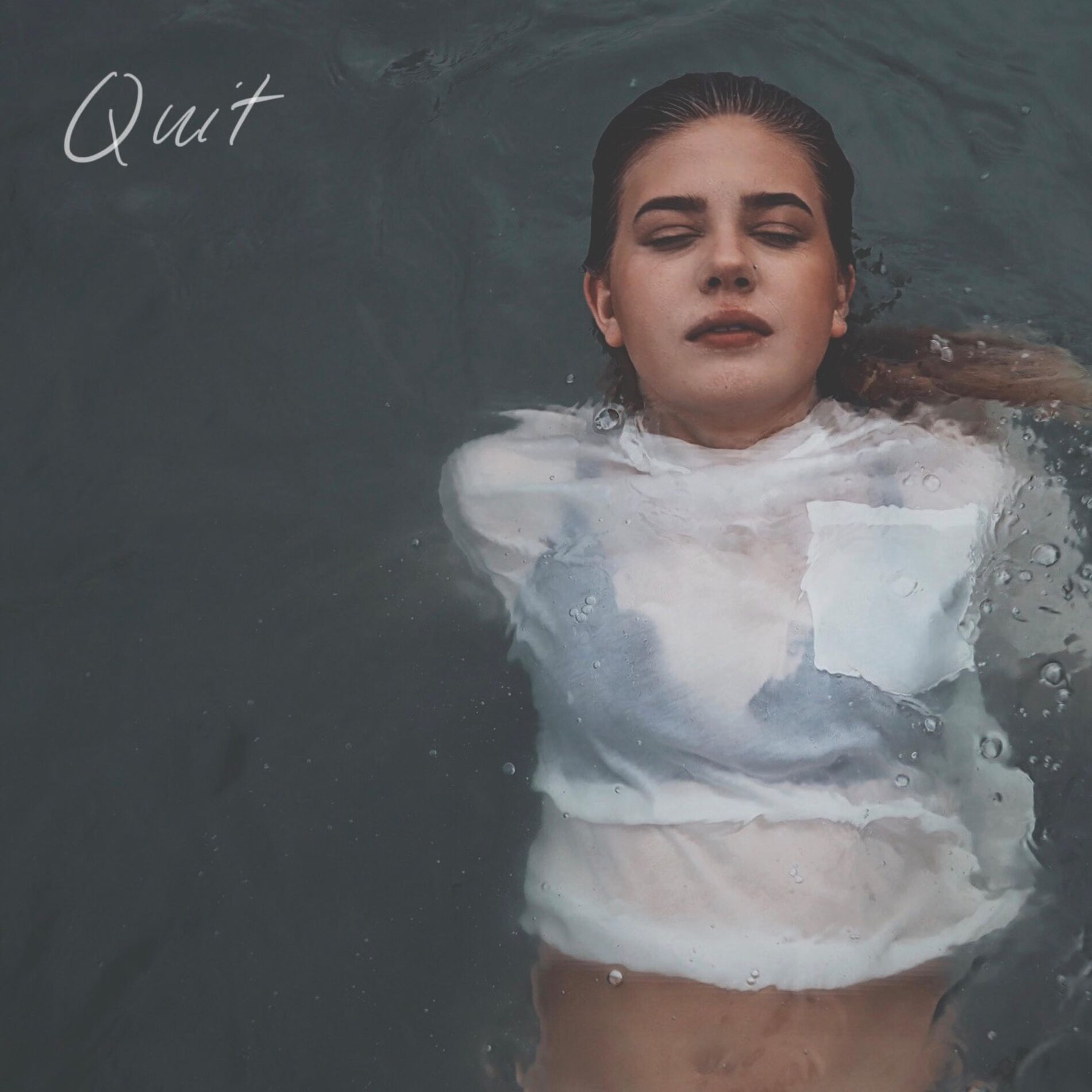 Album cover of Quit