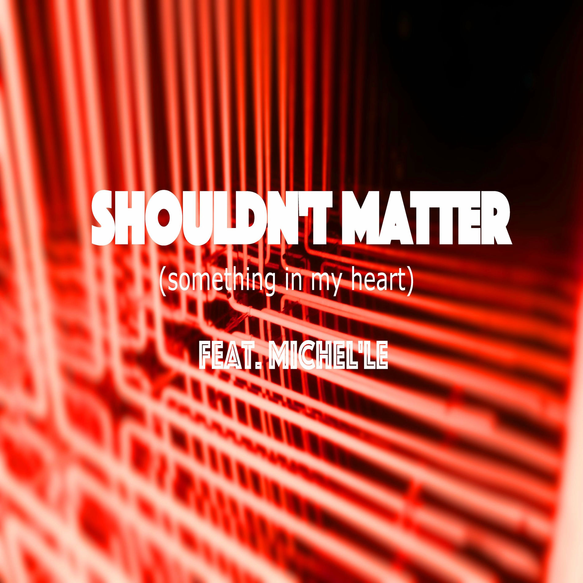 Album cover of Shouldn't Matter (something in my heart) (feat. Michel'le)