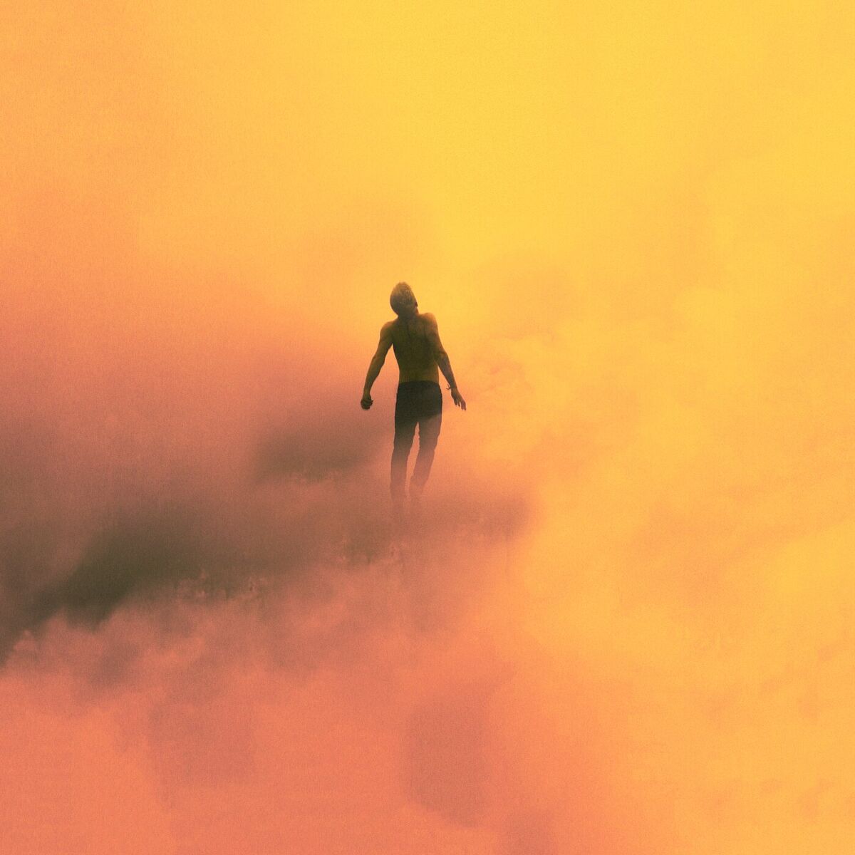 Album cover of Souvenir Terrestre