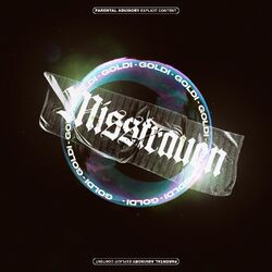 Cover of Misstrauen
