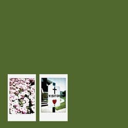 Cover of Visitor