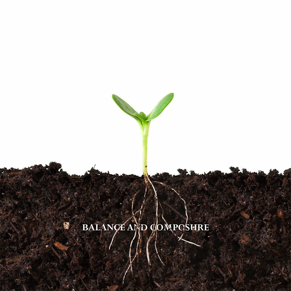Album cover of Balance and Composure\Tigers Jaw