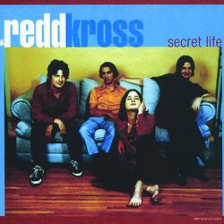 Cover of Secret Life