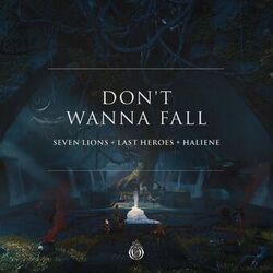 Cover of Don't Wanna Fall