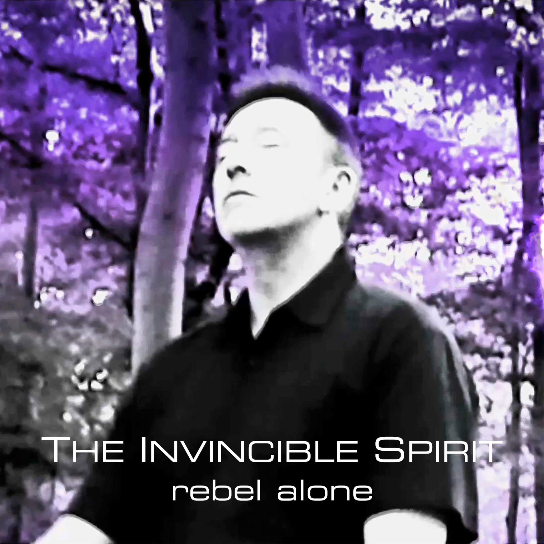Album cover of rebel alone