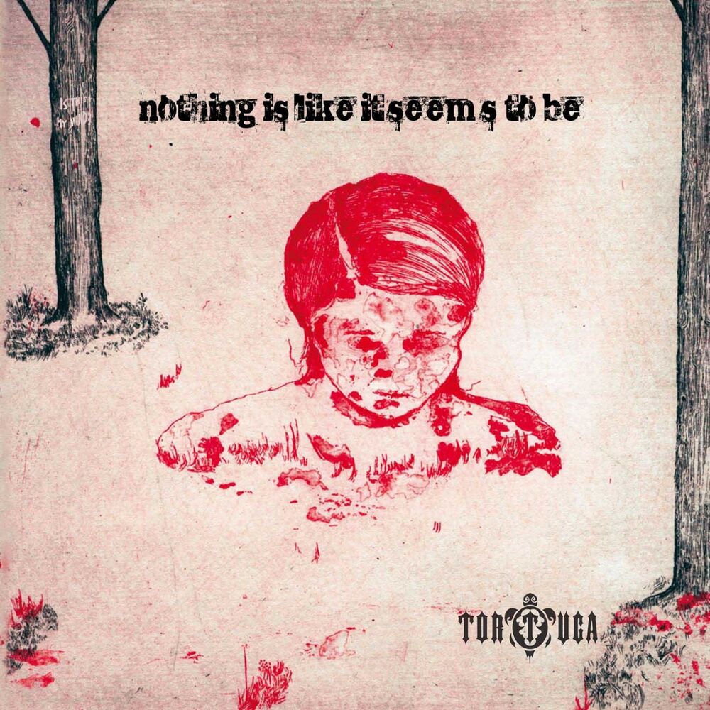 Picture of Nothing Is Like It Seems To Be