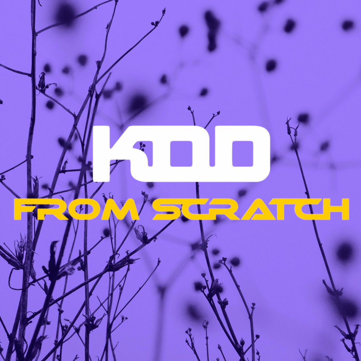 Album cover of From Scratch