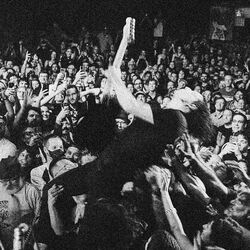 Cover of No Name Live