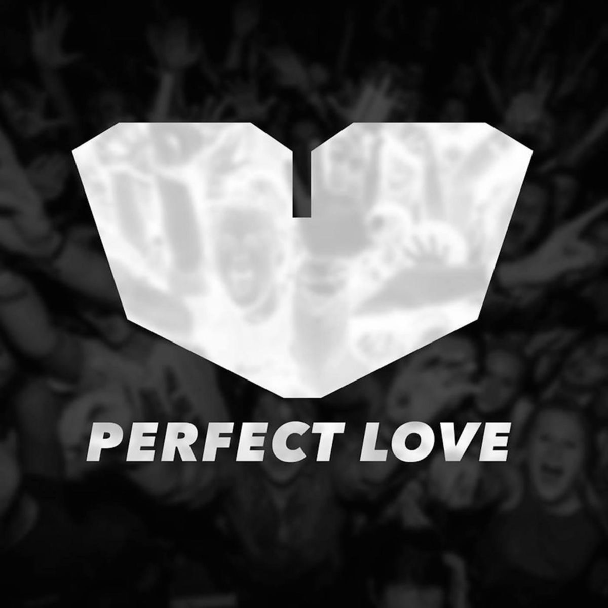 Album cover of Perfect Love