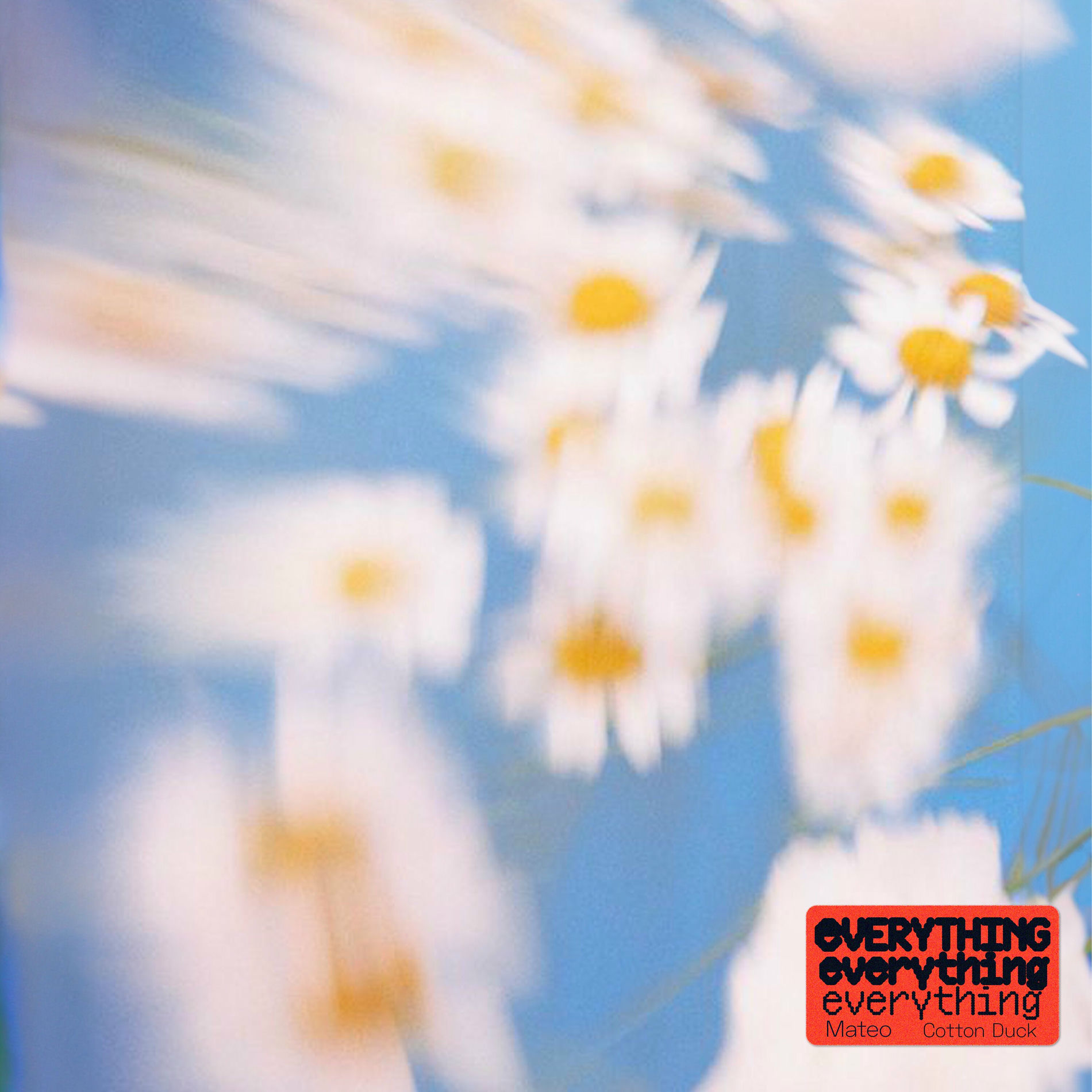 Album cover of Everything