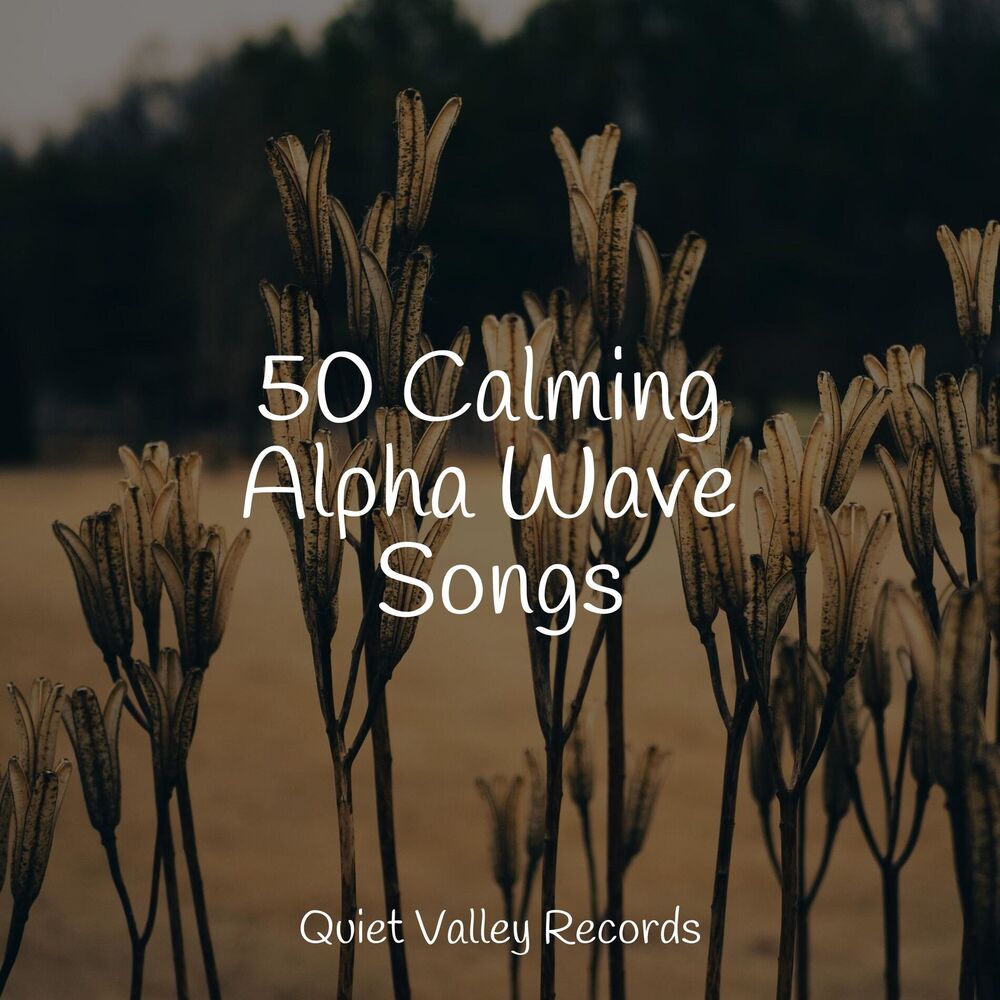 Picture of 50 Calming Alpha Wave Songs