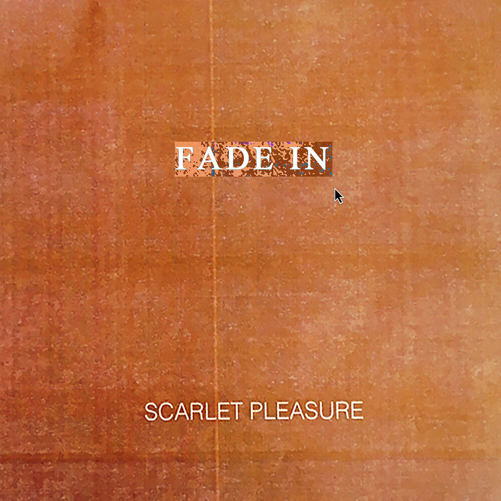 Picture of Fade In (Single Version)