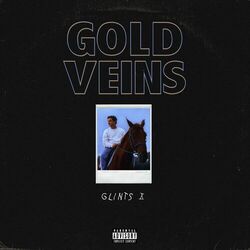 Cover of Gold Veins