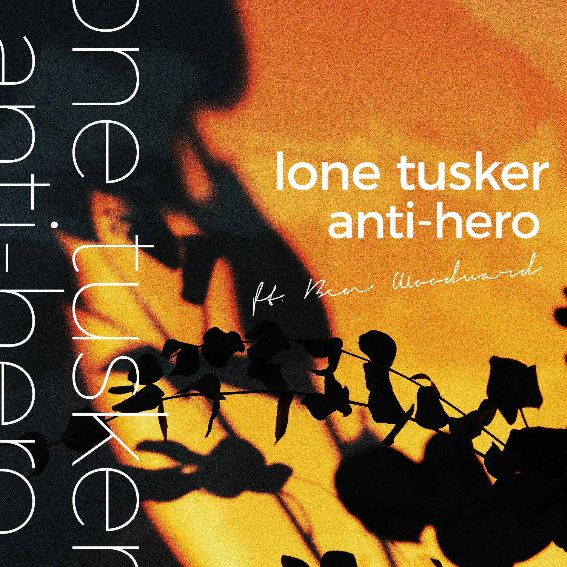 Album cover of Anti-Hero (feat. Ben Woodward)