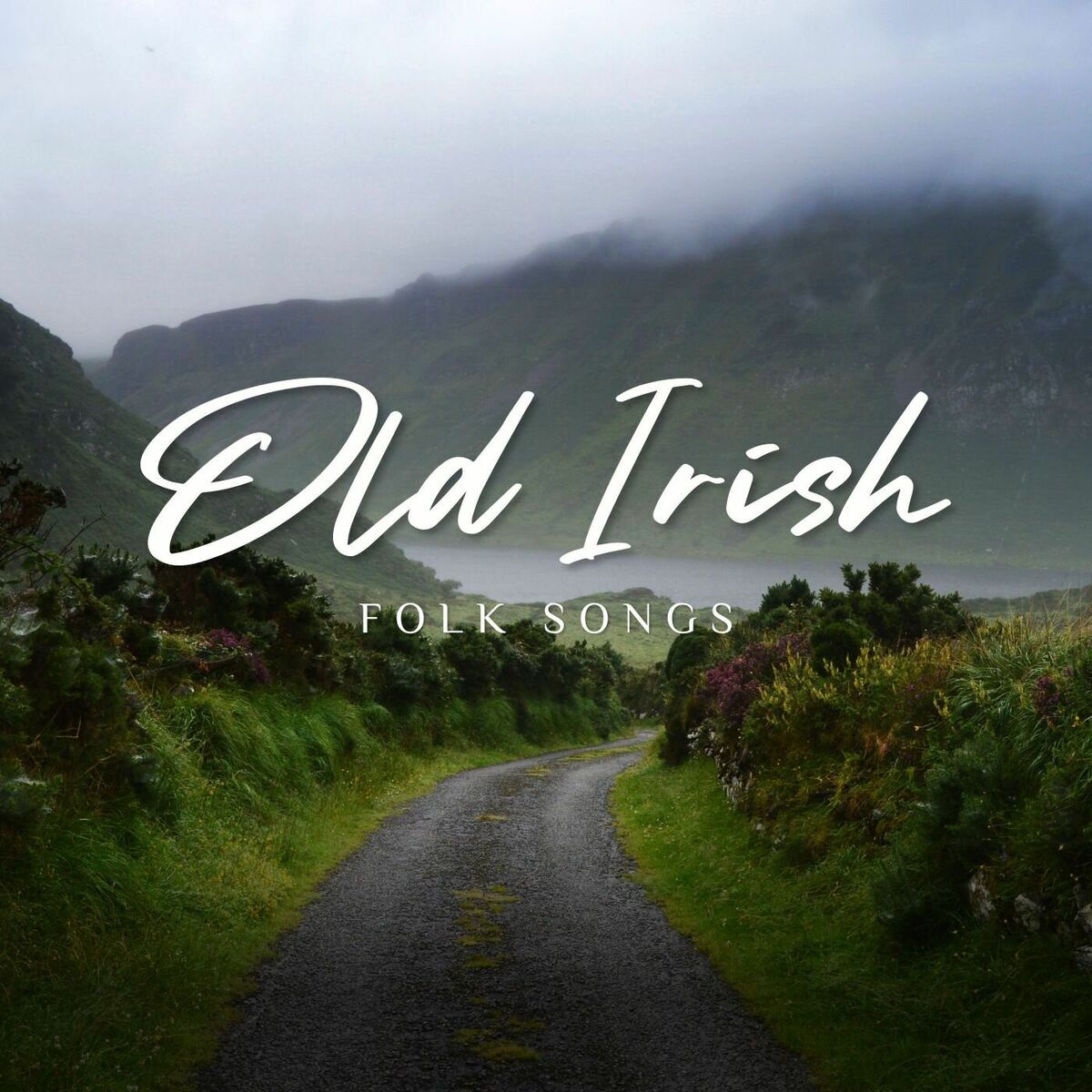 Album cover of Old Irish Folk Songs